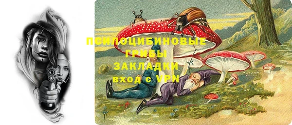 соль ск Богородицк