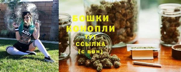 соль ск Богородицк